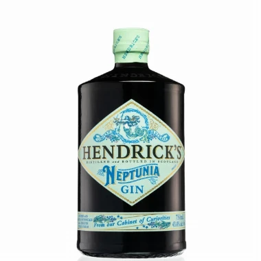 Gin Hendric's Neptunia 0,7l